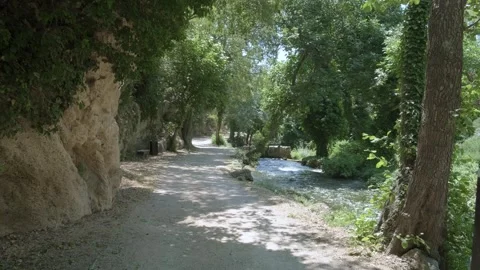 Winding path lined with majestic trees, rugged rocks, lush greenery with river. Video stock 259075440