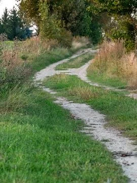 Winding path meanders through tall grass and trees Stock Photos