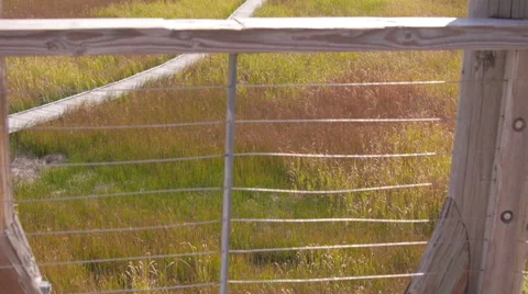 Winding path to the mountains 動画素材 55418089