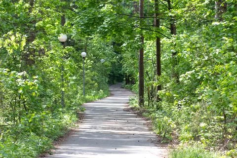 A winding path in the park leads deep into the forest Stock Photos