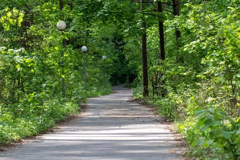 A winding path in the park leads deep into the forest Stock Photos