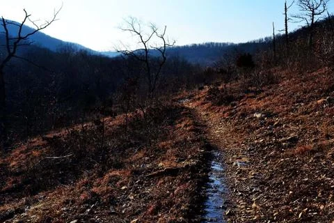Winding Path Stock Photos