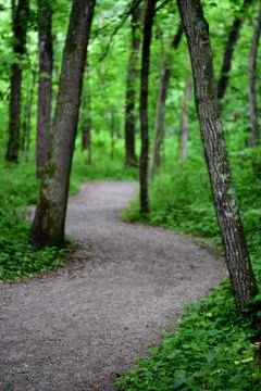 A Winding Path Stock Photos