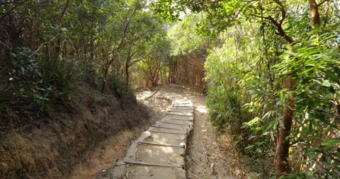 Winding path runs down in lush bushes, walk at Lion Rock Country Park Stock Footage 309437054