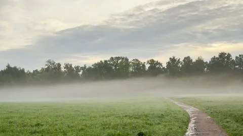 A winding path runs through a misty green field toward distant trees Video stock 344978061