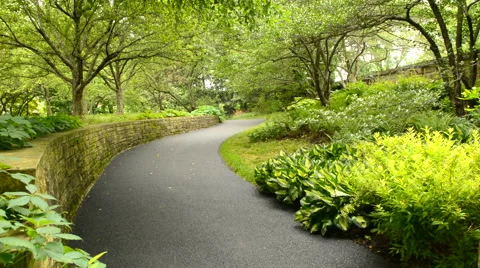 Winding path through a garden Stock Footage 51682307