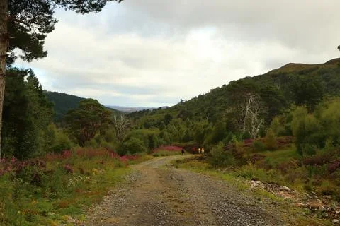 Winding path through Glen Strathfarrar Stock Photos