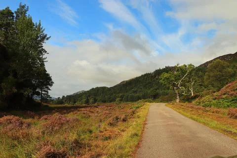 Winding path through Glen Strathfarrar Foto stock