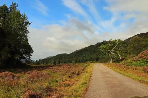 Winding path through Glen Strathfarrar Stock Photos