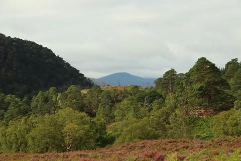 Winding path through Glen Strathfarrar Stock Photos