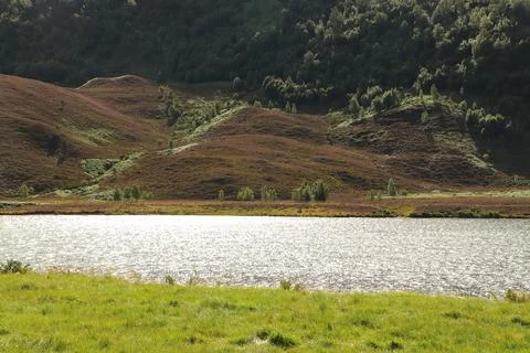 Winding path through Glen Strathfarrar Stock Photos