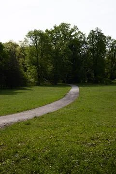Winding path through green forest Stock Photos