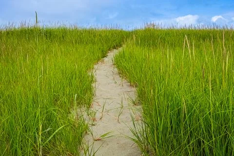 Winding path through a green grass field in hilly area in the morning against Stock Photos