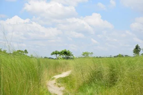 Winding Path Through Green Grassland Under Cloudy Blue Sky Stock Photos