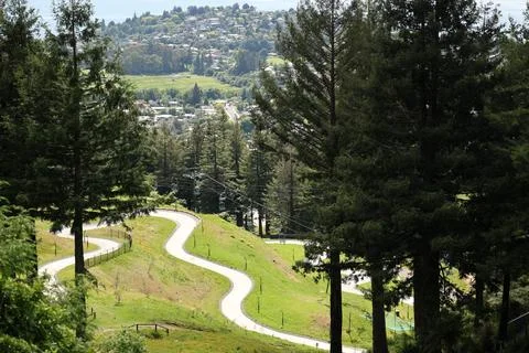 Winding Path Through Green Hillside Forest Foto stock
