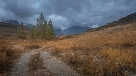 Winding path through large meadows on the hillside autumn day with dark cloudy Stock Footage 75246655