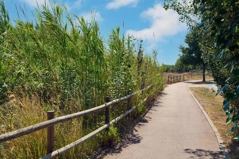 A winding path through lush and verdant nature Stock Photos