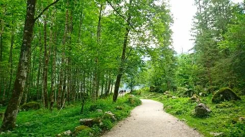 A winding path through lush green trees with hikers exploring the tranquil Foto stock
