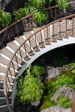 A Winding Path Through Lush Greenery Stock Photos