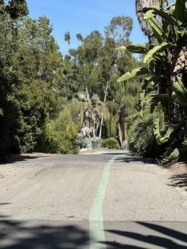 Winding Path Through Lush Greenery in a Tranquil Outdoor Setting Stock Photos