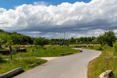 Winding Path Through Lush Greenery at Center Parcs Villages Nature Paris, F.. Stock-Fotos
