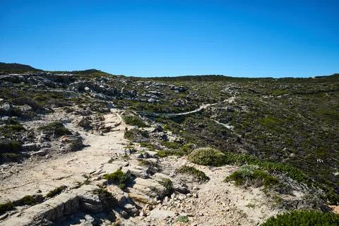 Winding Path Through Lush Landscape To Sea. Scenic Route Among Dense Flora 库存照片