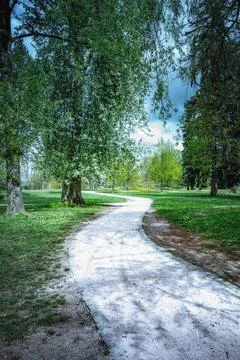 Winding path through a lush park on a serene spring day Stock Photos