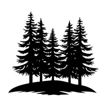 Winding path through pine forest silhouette with evergreen tree design Stock Illustration
