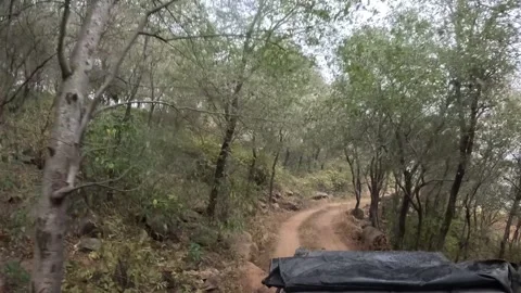 Winding Path through Sariska’s jungle safari Rugged Wilderness Stock Footage 296579314