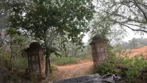 Winding Path through Sariska’s jungle safari Rugged Wilderness Stock-Footage 296579315