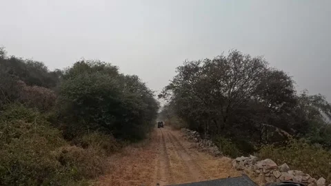 Winding Path through Sariska’s jungle safari Rugged Wilderness Stock-Footage 296579632