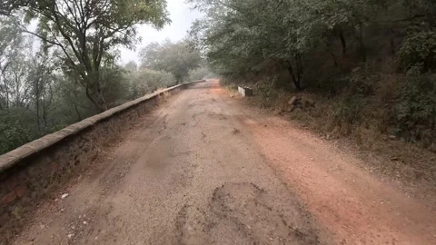 Winding Path through Sariska’s jungle safari Rugged Wilderness Stock-Footage 296579650