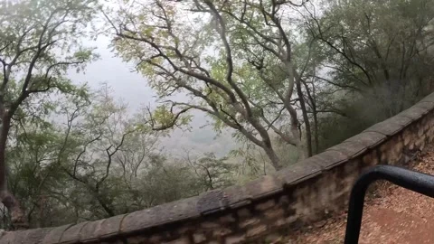 Winding Path through Sariska’s jungle safari Rugged Wilderness Stock-Footage 296579675