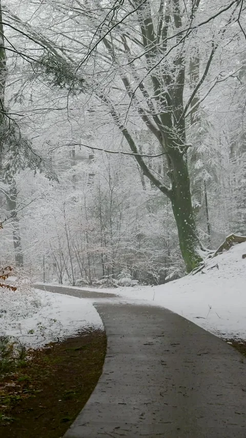 Winding path through a snowy winter forest Stock-Footage 327114666