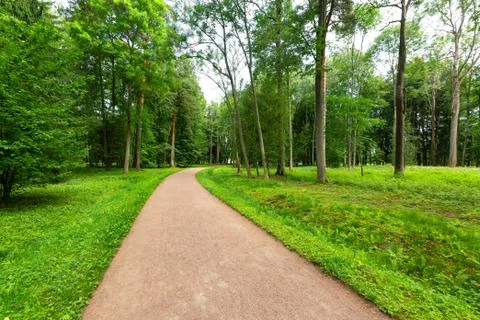 Winding Path through a tranquil verdant park with lawn and tall green trees in Stock Photos
