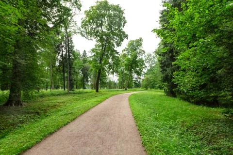 Winding Path through a tranquil verdant park with lawn and tall green trees in Stock Photos