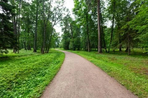 Winding Path through a tranquil verdant park with lawn and tall green trees in Stock Photos