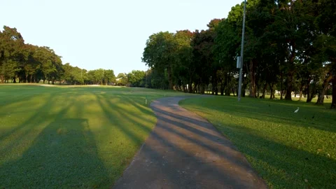 Winding Path Through Tropical Park with Green Grass and Trees 動画素材 338053045
