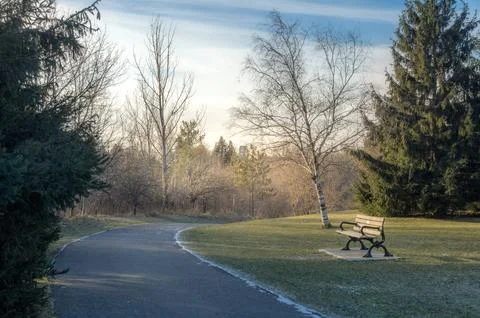 A winding path in a winter park, with the light of the sunset Stock Photos