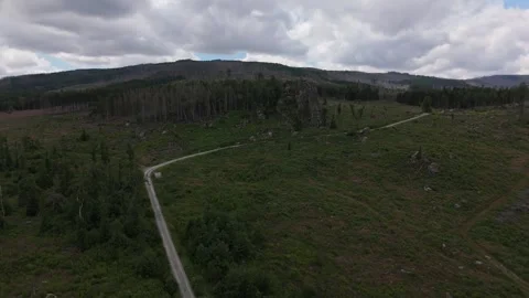 Winding paths across Harz heath and reforestation aerial Germany 動画素材 341283397