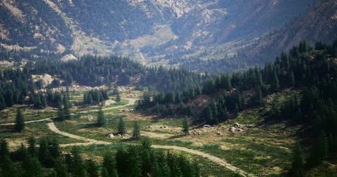 Winding paths through dense forest in mountainous terrain on a clear day Stock Illustration