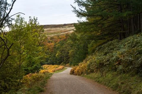 Winding pathway along the side of Derwent Reservoir Stock Photos
