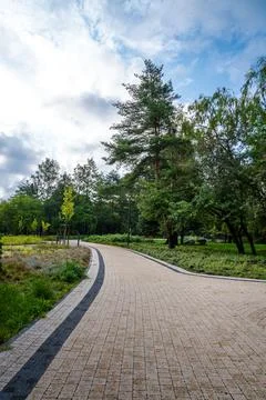Winding Pathway Through Lush Green Park Surrounded by Tall Trees Under Cloudy Stock Photos