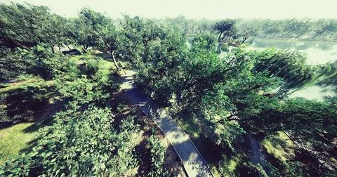 Winding pathway through lush greenery in a tranquil park setting Ilustración de archivo