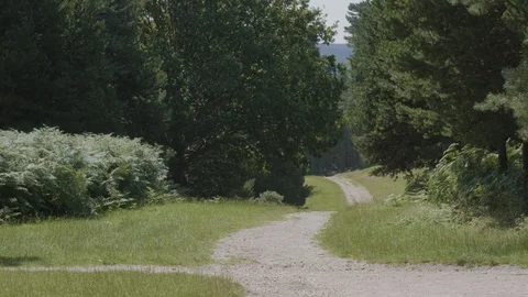 Winding pathway through a rolling hill forest Stock Footage 112970557