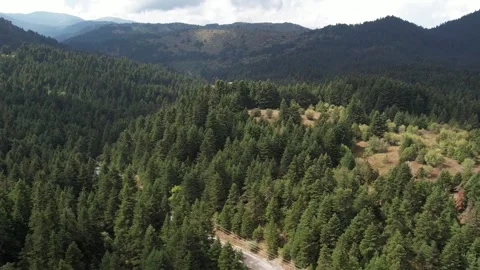 Winding paved mountain road with power lines through dense alpine forest Stock Footage 344094152