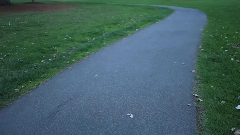 Winding paved path through a green grassy park 動画素材 336520268