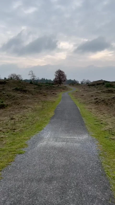 Winding paved path through a heathland landscape in the Netherlands. Stock-Footage 340850403