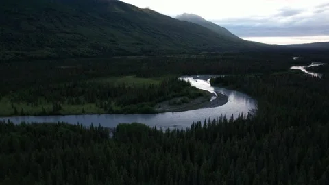 Winding River and Green Forest in Rural Alaska Stock Footage 217849354