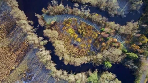 Winding river in autumn Vidéo 82119213